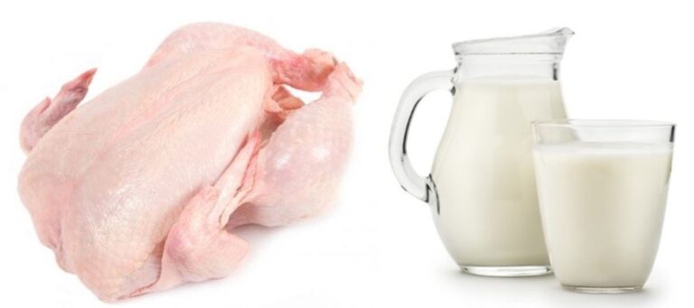 Siapa Sangka, Kombinasi Ayam dan Susu Ternyata Berbahaya Bagi Tubuh
