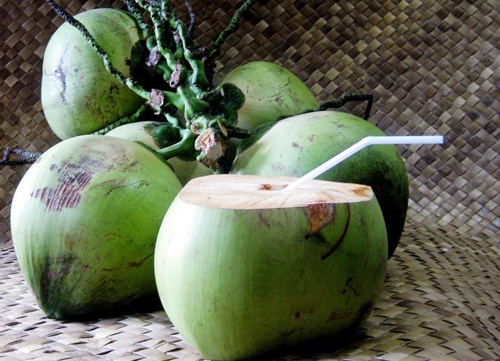 Mengobati Batu Ginjal dengan Air Kelapa Muda