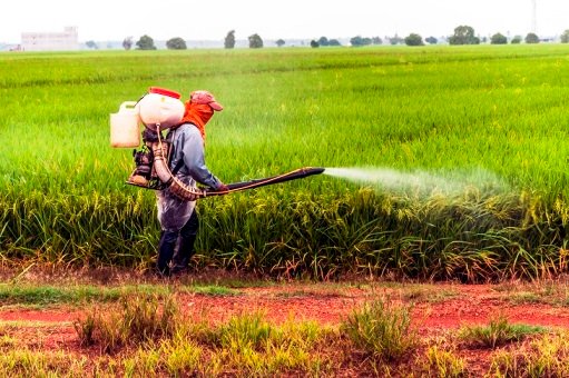 Pestisida Bisa Sebabkan Gangguan Tiroid