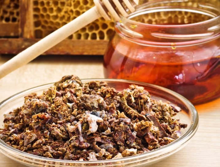 Bukti Khasiat Propolis dari Lab